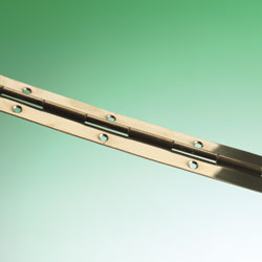 25mm Continuous Brass Hinge