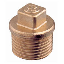 2" BSP BRASS BLANKING PLUG
