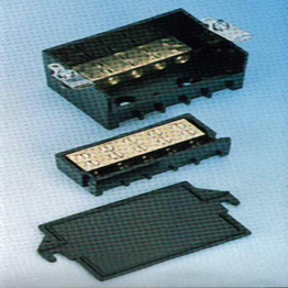 60A Double Pole Connector Block