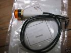 240 VOLT AMBER NEON
