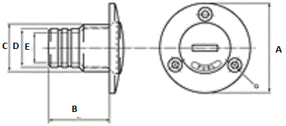 Water Filler Cap Only